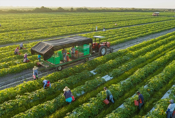 solar farm and its benefits